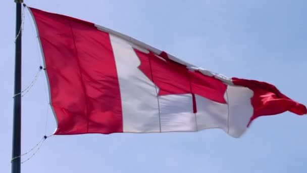 Stunning national symbol Canada flag red white maple leaf banner waving on pole in wind on blue sky sunny background - Footage, Video