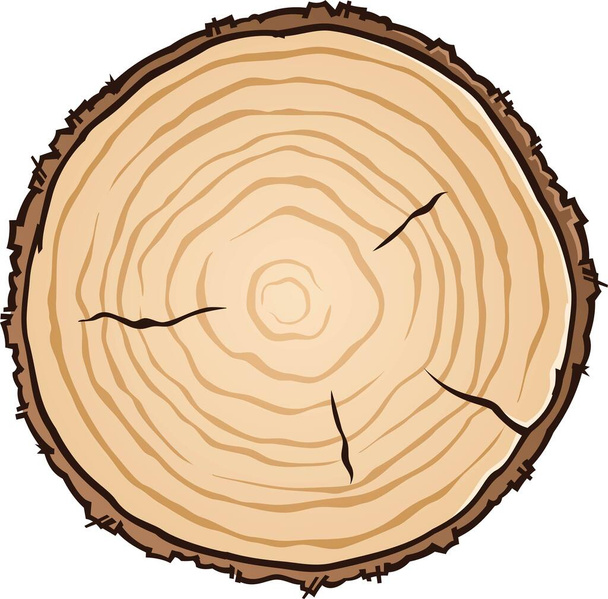 Una ilustración vectorial de círculo de madera cortada de un tronco que muestra anillos de edad y grietas
 - Vector, Imagen