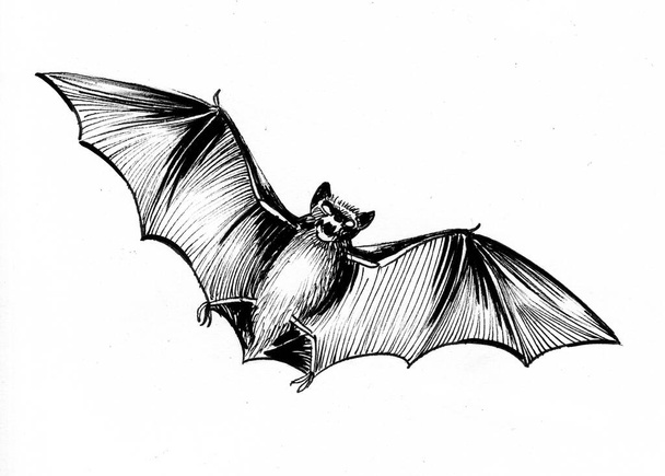 Flying bat. Ink black and white drawing - Fotoğraf, Görsel