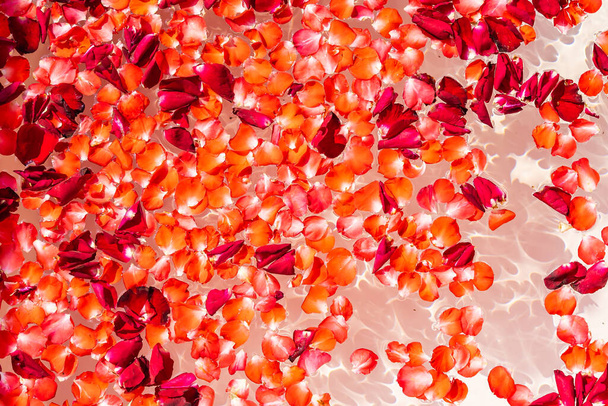 Piros rózsa virág a víz fürdőkád dekoráció belső fürdő és pihenjen - Fotó, kép