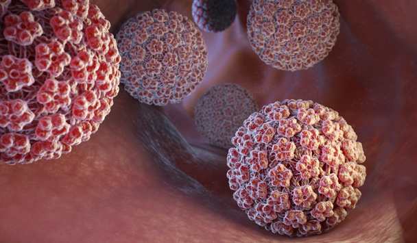 Humaan papillomavirus (Hpv) is een Dna-virus uit de familie van papillomavirus. 3D illustratie - Foto, afbeelding
