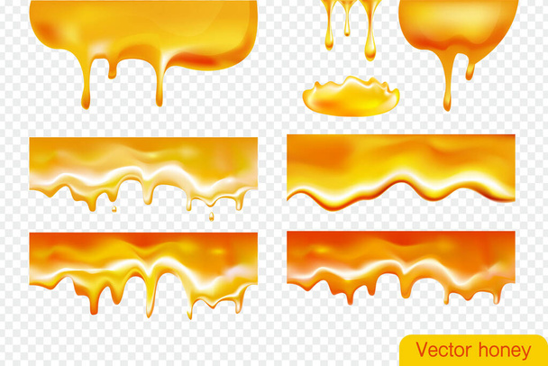 Sweet honey set isolated on transparent background.  - Vector, Image
