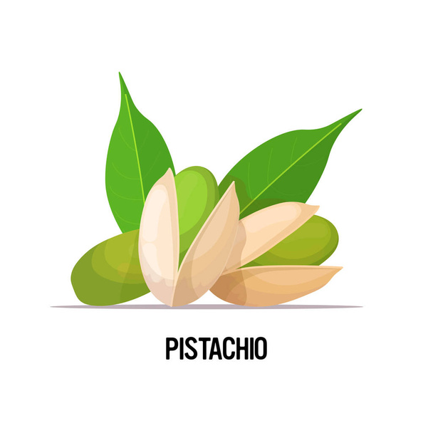 pistachio with leaves isolated on white background healthy vegetarian food concept - Vektor, Bild