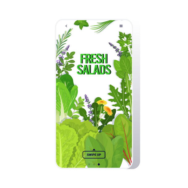 mix různých čerstvých salátů zanechává zdravé výživy vegetariánské jídlo koncept smartphone obrazovka mobilní aplikace - Vektor, obrázek