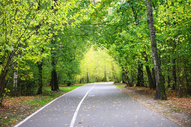 Yeşil parktaki yürüyüş yolu, asfalt yol, bisiklet yolu. Yaz tatili. Boşluğu kopyala - Fotoğraf, Görsel