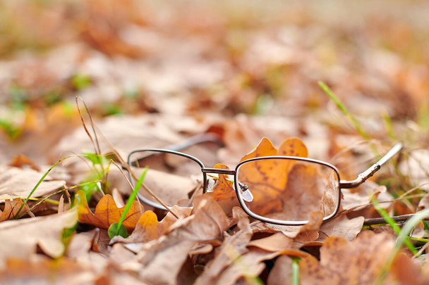 Gafas en follaje otoñal. Gafas perdidas como símbolo de pérdida repentina de la visión. Deficiencia de vitaminas con la edad
. - Foto, imagen
