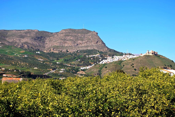 Kilátás a városra citromfákkal az előtérben, Alora, Malaga tartomány, Andalucia, Spanyolország, Európa. - Fotó, kép