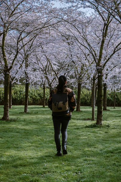 chica caminando en el parque con el árbol de flor de cerezo floreciendo en Amsterdam Países Bajos, mujer disfruta de un paseo en el árbol de floración del parque durante la primavera
 - Foto, imagen