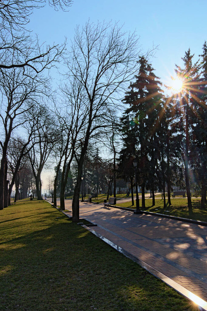 木の後ろに太陽のビーム。公園で日の出。聖Volodymir丘の美しい景色。太陽は灰色の石の歩道から反射しています。ウクライナのキエフで春の朝. - 写真・画像