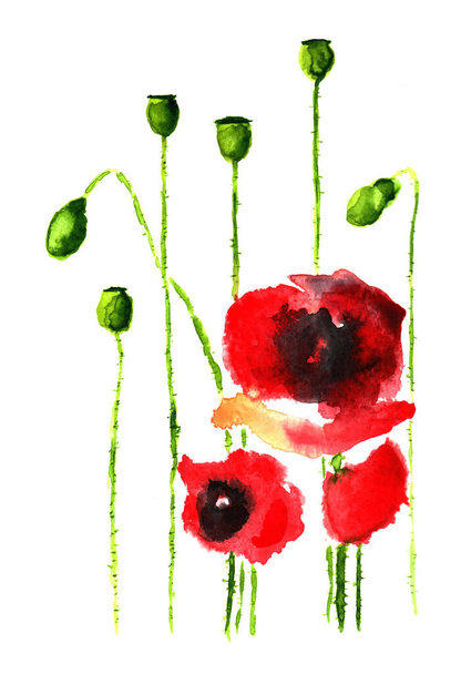 Abstract beautiful watercolor red poppies flowers background - Valokuva, kuva