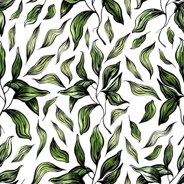 hand drawn watercolor pattern leaves on a white background - Zdjęcie, obraz