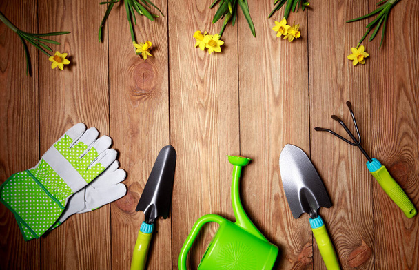 Green seedling in pots and tools on wooden background. Ecology theme - Foto, immagini