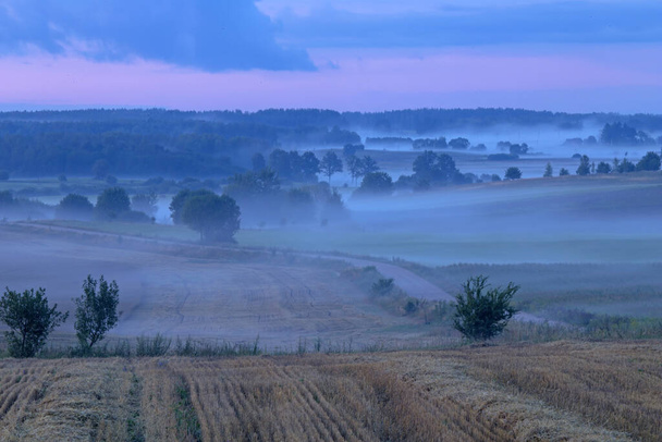 Brouillard nocturne sur les champs. Paysage agricole en Lituanie orientale
. - Photo, image