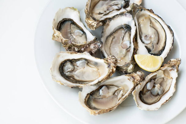 Fresh oysters. Raw fresh oysters are on white round plate, image isolated, with soft focus. Restaurant delicacy. Fresh raw oysters. Saltwater oysters. - Foto, afbeelding
