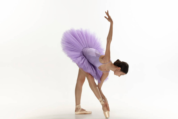 Young graceful tender ballerina on white studio background - Valokuva, kuva