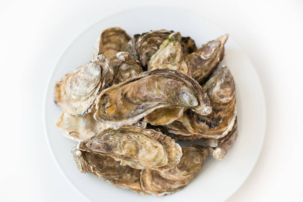 Fresh oysters. Raw fresh oysters on white round plate, image isolated, with soft focus. Restaurant delicacy. Saltwater oysters. - Foto, immagini