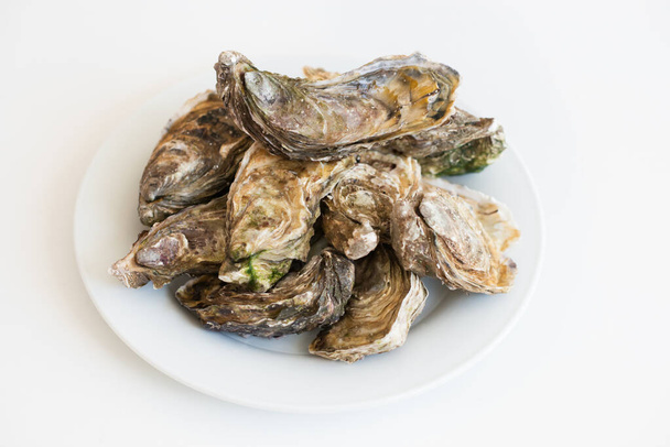 Fresh oysters. Raw fresh oysters on white round plate, image isolated, with soft focus. Restaurant delicacy. Saltwater oysters. - Zdjęcie, obraz
