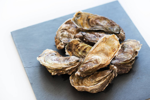 Fresh oysters, image isolated, with soft focus. Restaurant delicacy. Saltwater oysters. - 写真・画像