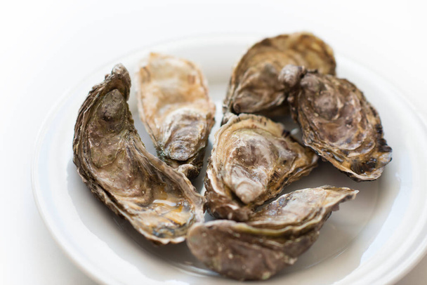 Fresh oysters. Raw fresh oysters on white round plate, image isolated, with soft focus. Restaurant delicacy. Saltwater oysters. - Fotografie, Obrázek
