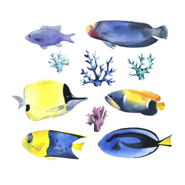 A set of tropical fish, in a watercolor style. Isolated on white background - Fotografie, Obrázek