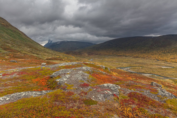 Beautiful wild nature of Sarek national park in Sweden Lapland with snow capped mountain peaks, rivers and lakes, birch and spruce tree forests. Early autumn colors in stormy weather. selective focus - Fotoğraf, Görsel