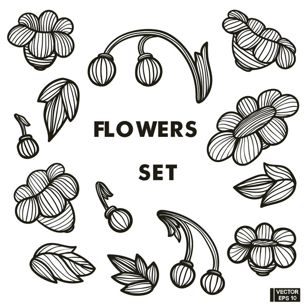 Vector illustration. Set of striped flowers hand drawn in black and white sketch. - Vektor, kép
