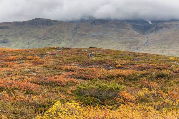 Bergen van Sarek Nationaal Park in Lapland, herfst, Zweden, selectieve focus - Foto, afbeelding