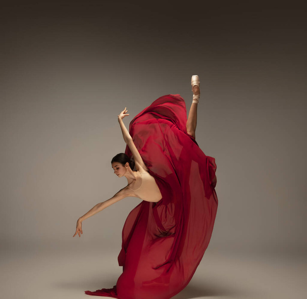 Young graceful tender ballerina on grey studio background - Foto, afbeelding