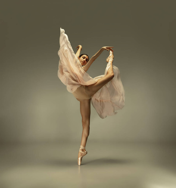 Young graceful tender ballerina on grey studio background - Φωτογραφία, εικόνα