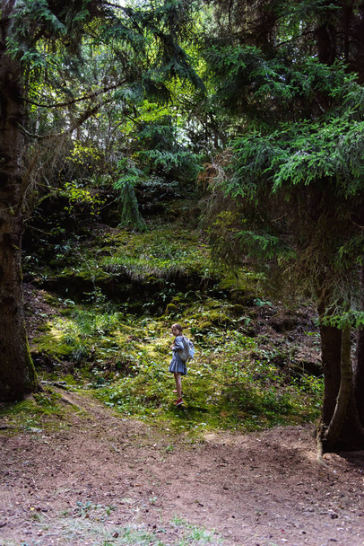 Little girl walking in the woods - Φωτογραφία, εικόνα