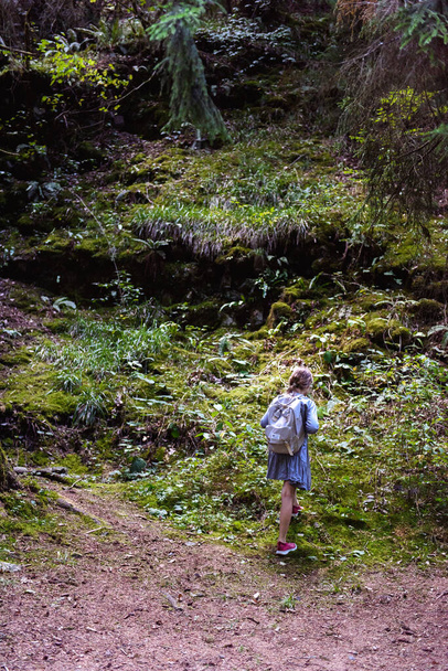 Little girl walking in the woods - Foto, afbeelding