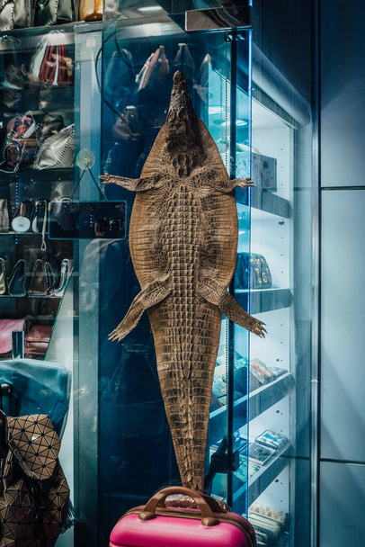 skóra krokodyla na rynku - Zdjęcie, obraz