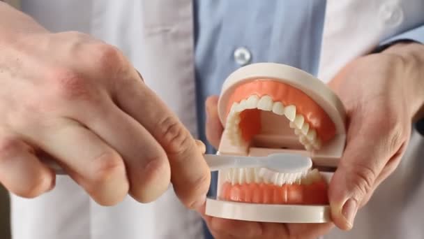 Стоматолог демонструє модель щелепи, даючи урок про правильні зуби та догляд за порожниною рота. Стоматолог використовує макет щелепи і зубну щітку, щоб навчити пацієнта правильному чищенню зубів
 - Кадри, відео