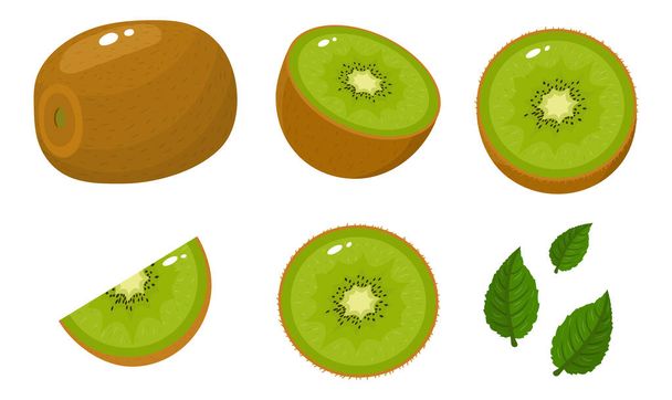 Conjunto de fresco entero, mitad, cortar rebanada y hojas de kiwi fruta aislada sobre fondo blanco. Frutas de verano para un estilo de vida saludable. Fruta orgánica. Estilo de dibujos animados. Ilustración vectorial para cualquier diseño
. - Vector, imagen