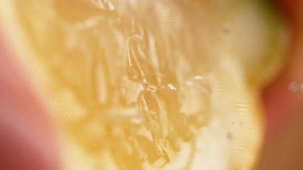 Heerlijk zuur sap komt uit een citroenschijfje dat geperst wordt.. - Video