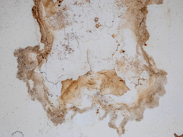Water stains and mold after water damage - Photo, Image