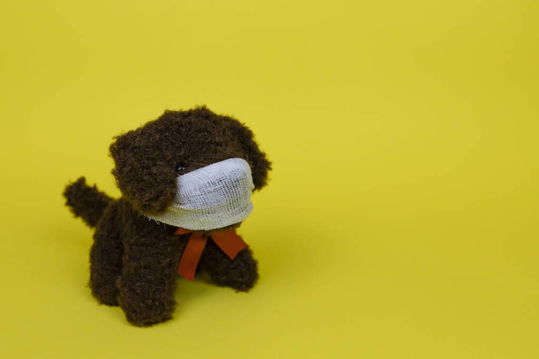 Small toy dog wearing protective medical mask. Abstract concept of the call for coronavirus protection. Picture with place for text, shallow depth of field - Photo, image
