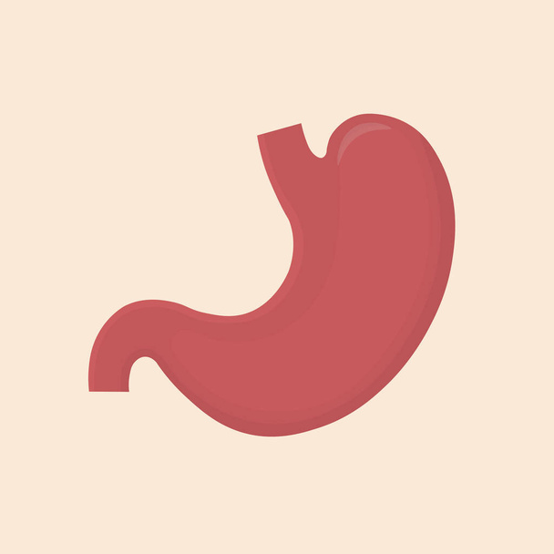 Stomach icon. Human internal organs symbol. Digestive system anatomy. Vector illustration in flat style. - Vector, Image