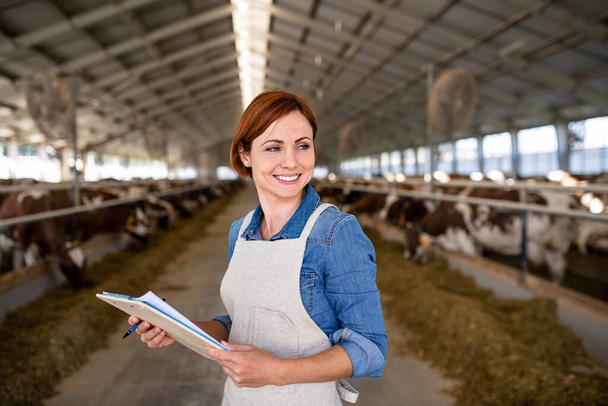 Woman manager working on diary farm, agriculture industry. - Foto, afbeelding