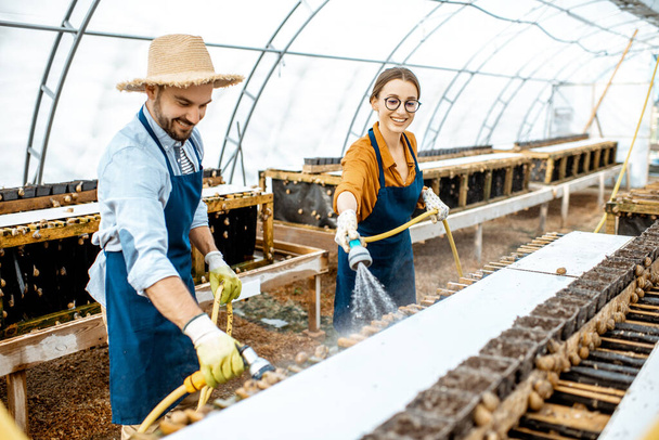 Чоловік і жінка працюють на фермі з вирощування равликів
 - Фото, зображення