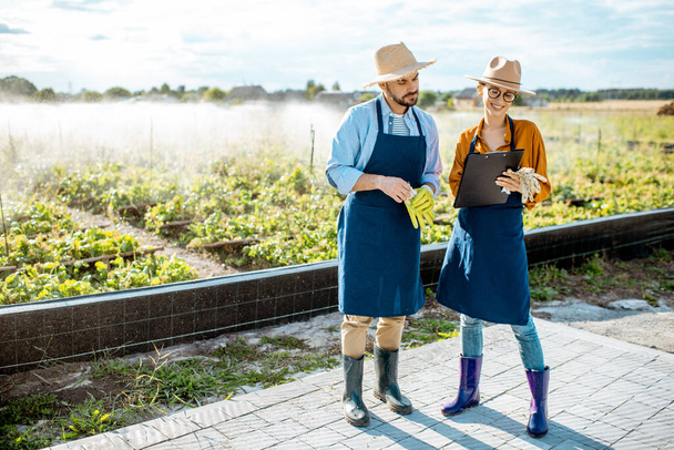 Man and woman on the farmland for snails growing outdoors - Photo, image