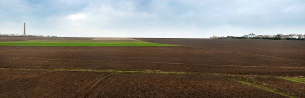 Εαρινό τοπίο με ένα όριο αρόσιμης γης και ένα καταπράσινο χωράφι σπαρμένο με σιτάρι. - Φωτογραφία, εικόνα