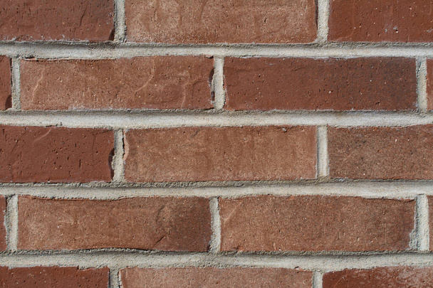 Brick wall background in natural light. - Photo, Image