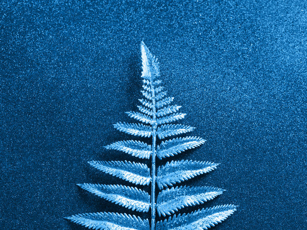Glitter classic blue shiny background with branch - 写真・画像
