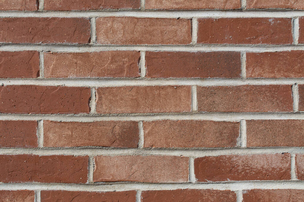Brick wall background in natural light. - Photo, image