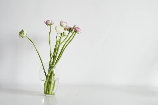 flowers persian buttercup - Foto, Imagem