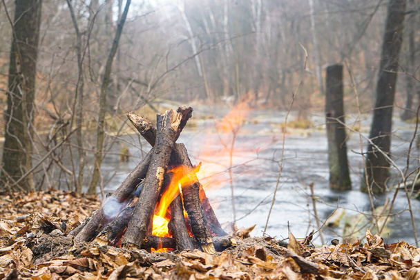 Lagerfeuer im Wald am Ufer des Sees, mit orangefarbenen Flammen bereit zum Grillen und Grillen, kalter Herbstabend - Foto, Bild