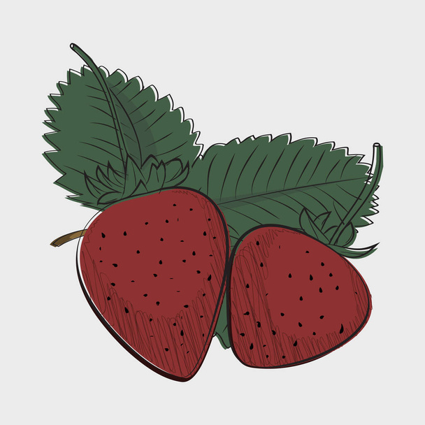 Strawberry vintage poster, vector illustration - Vector, Image