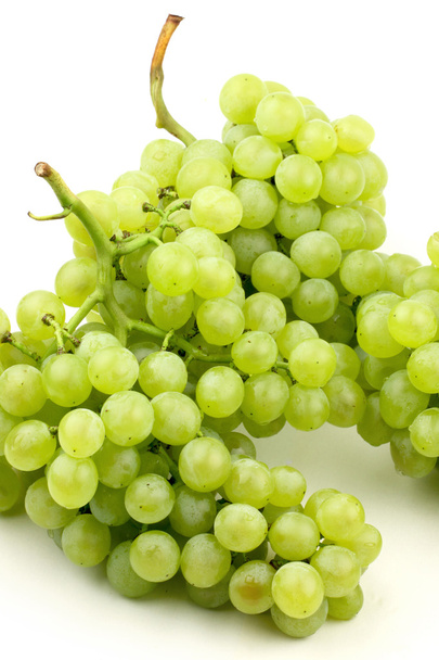 Fresh grapes - Fotografie, Obrázek