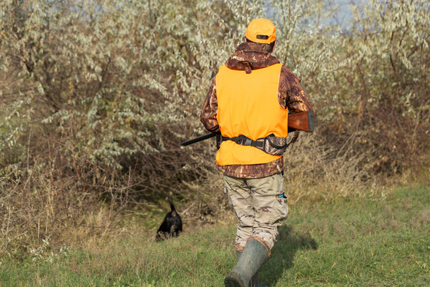 Muž s pistolí v rukou a oranžovou vestou na lovu bažantů v zalesněné oblasti za zataženého počasí. Lovec se psy při hledání zvěře. - Fotografie, Obrázek